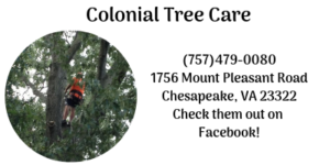 Colonial Tree Care