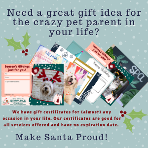 Pick up a gift certificate today!